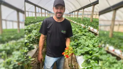 Justiça torna sete PMs réus por morte de agricultor em operação em Pelotas - Studio TV
