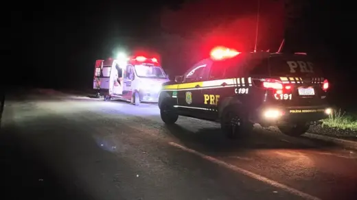 Motocicleta colide com capincho na BR-287 e deixa dois jovens feridos em São Borja - Studio TV
