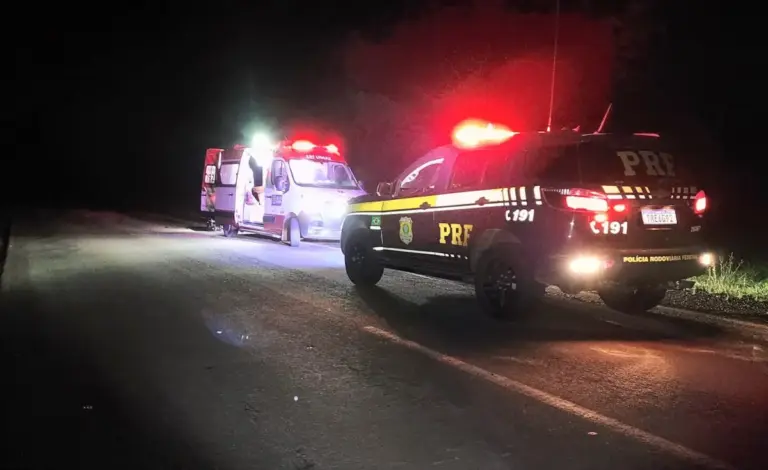 Motocicleta colide com capincho na BR-287 e deixa dois jovens feridos em São Borja - Studio TV