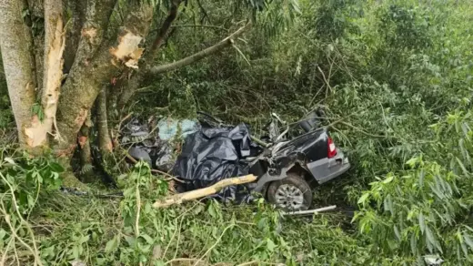 Motorista morre após caminhonete sair da pista e capotar na ERS-124, em Montenegro - Studio TV