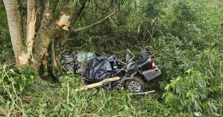 Motorista morre após caminhonete sair da pista e capotar na ERS-124, em Montenegro - Studio TV