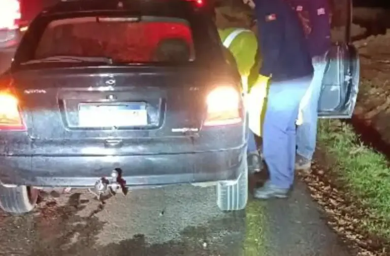Mulher é encontrada morta em área de mata e dois homens são presos em Caxias do Sul - Studio TV
