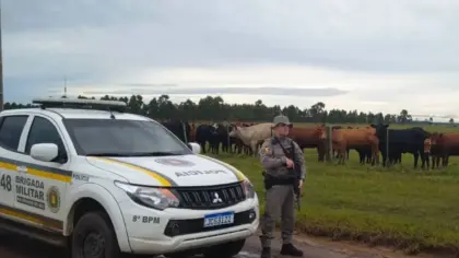 Operação da Brigada Militar termina com quatro presos e apreensão de drogas no Litoral Norte do RS - Studio TV