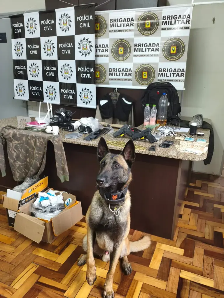 Operação Nero resulta em prisões e apreensão de armas, drogas e materiais incendiários em Antônio Prado - Studio TV