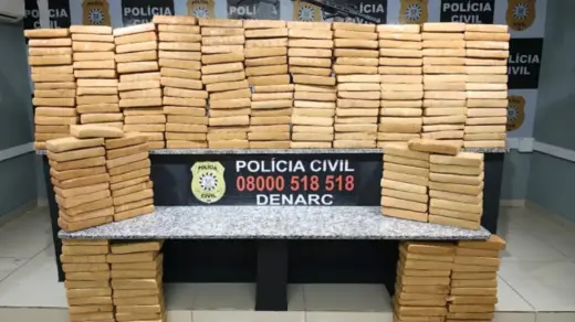 Polícia Civil apreende quase 250 kg de maconha e fuzil em Porto Alegre - Studio TV