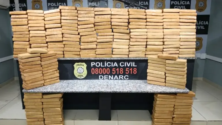 Polícia Civil apreende quase 250 kg de maconha e fuzil em Porto Alegre - Studio TV