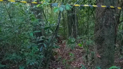 Polícia confirma homicídio e prende dois suspeitos no Noroeste do Rio Grande do Sul - Studio TV