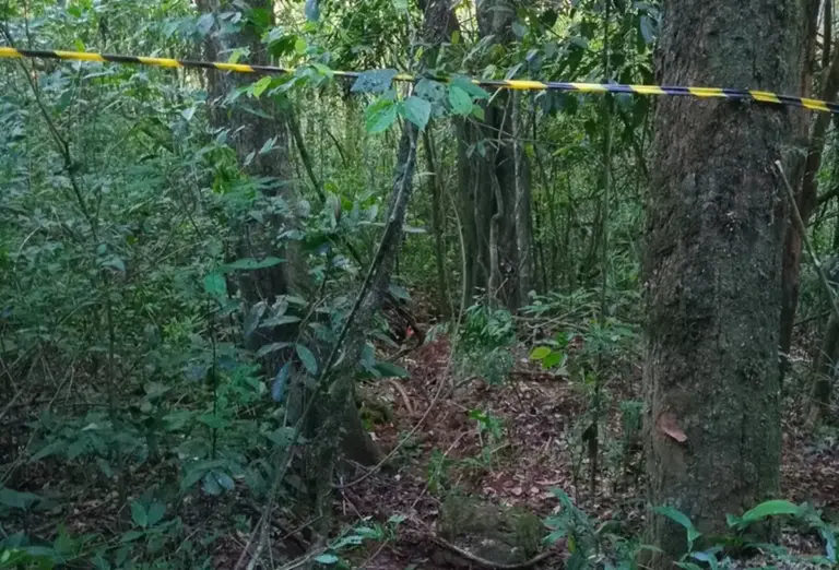 Polícia confirma homicídio e prende dois suspeitos no Noroeste do Rio Grande do Sul - Studio TV