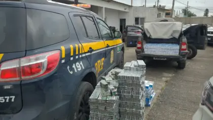 PRF apreende 15 mil cigarros contrabandeados e prende homem na BR-116 - Studio TV