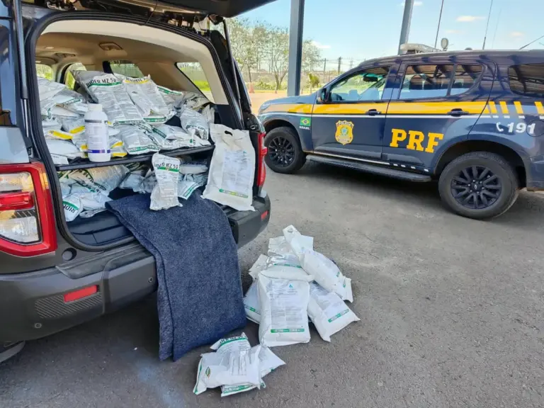 PRF apreende 200 quilos de agrotóxicos contrabandeados no RS - Studio TV