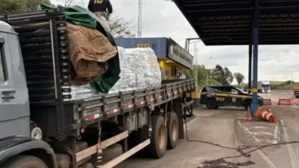 PRF apreende mais de 850 quilos de maconha na BR-386, em Soledade - Studio TV