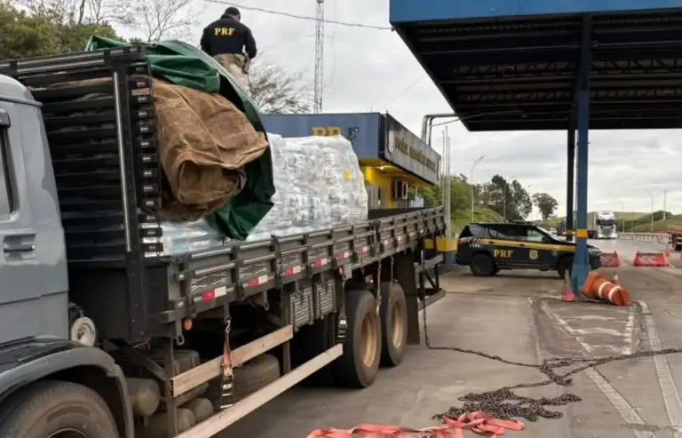 PRF apreende mais de 850 quilos de maconha na BR-386, em Soledade - Studio TV
