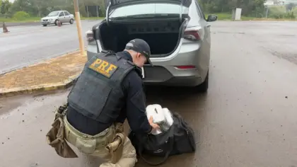 PRF apreende skunk e haxixe e prende motorista por tráfico na BR-386, em Sarandi - Studio TV