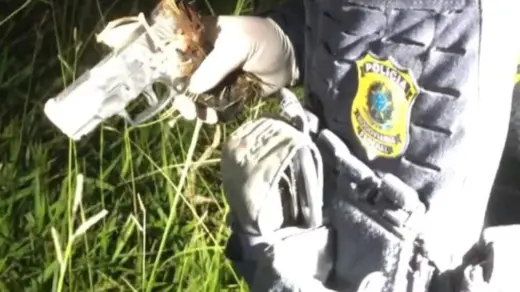 PRF prende motociclista após fuga de 10 km e cão Guri encontra pistola em Gravataí - Studio TV