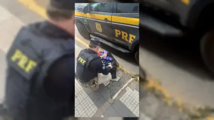 PRF prende passageiro com 21 quilos de maconha em ônibus na BR-290, em São Gabriel - Studio TV
