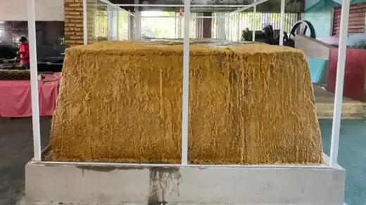Rapadura de quase 24 toneladas produzida no Ceará conquista recorde nacional - Studio TV