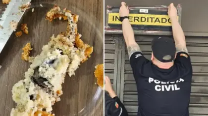 Rato encontrado dentro de bolo em Porto Alegre provoca interdição de confeitaria e prisão de proprietária - Studio TV