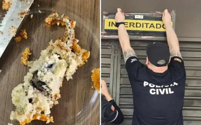 Rato encontrado dentro de bolo em Porto Alegre provoca interdição de confeitaria e prisão de proprietária - Studio TV