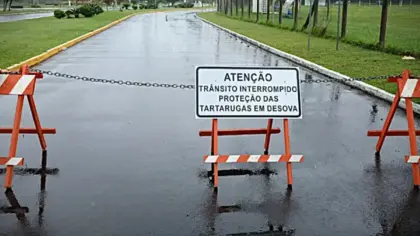 Rua é interditada no Litoral Norte do RS para proteger tartarugas durante período de reprodução - Studio TV