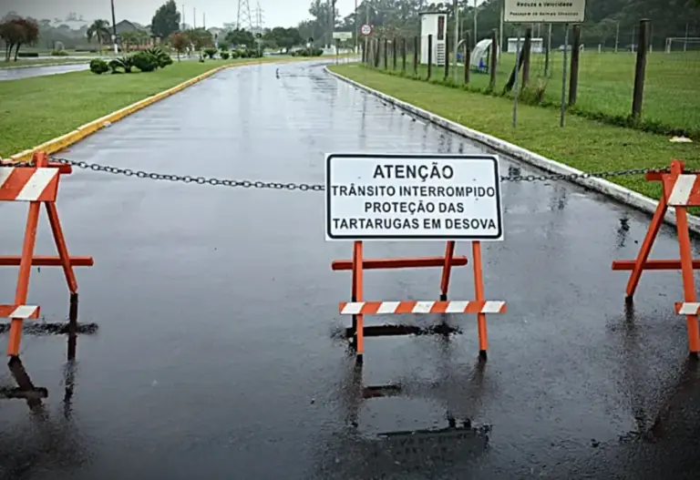 Rua é interditada no Litoral Norte do RS para proteger tartarugas durante período de reprodução - Studio TV