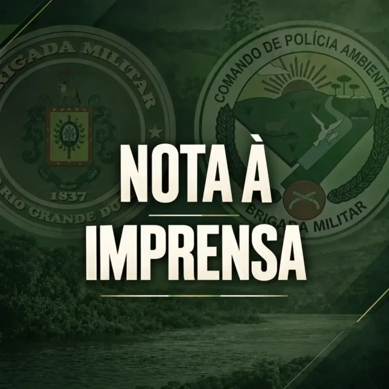 Vídeos de suposta onça em São Martinho da Serra são antigos, alerta Brigada Militar - Studio TV