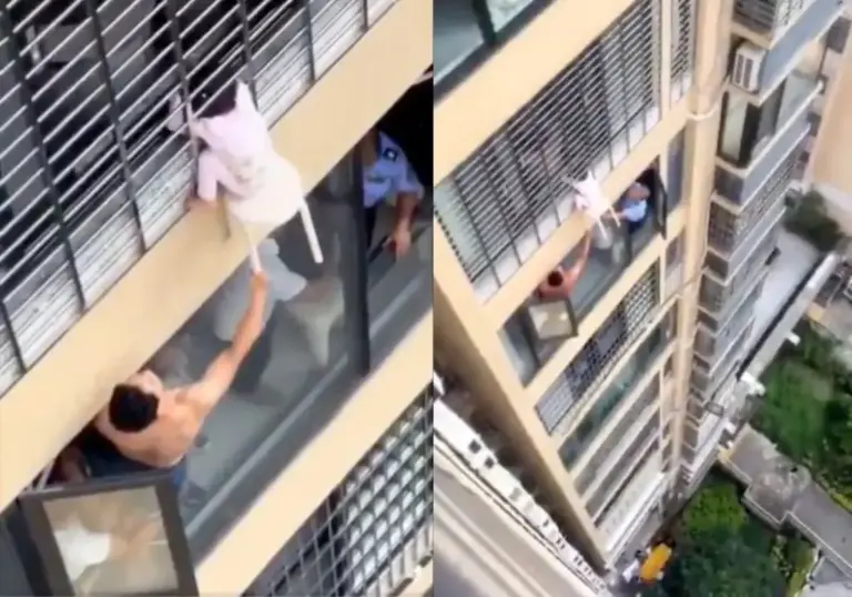Vizinhos salvam menina de 3 anos que ficou pendurada no 12º andar de prédio - Studio TV